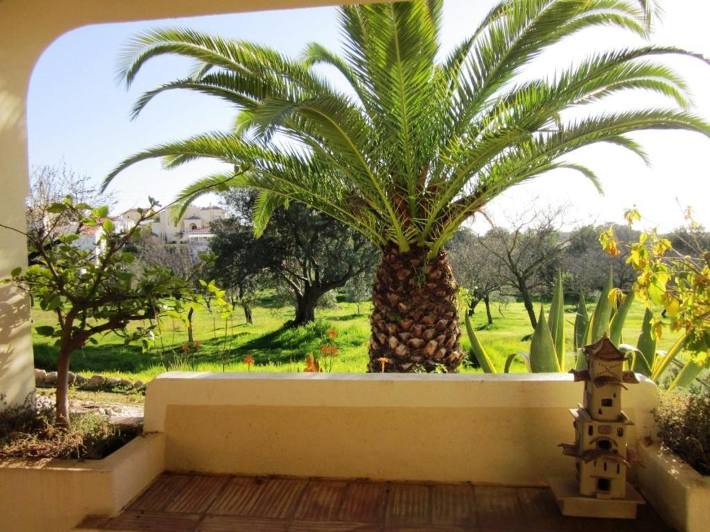 Hotel Quinta Mimosa Loulé Pokoj fotografie